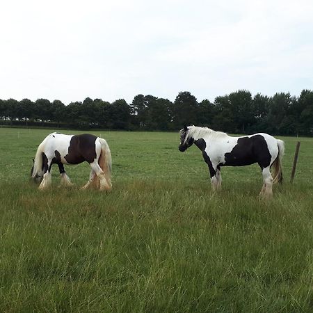 Minicamping Dorpszicht Gapinge Esterno foto
