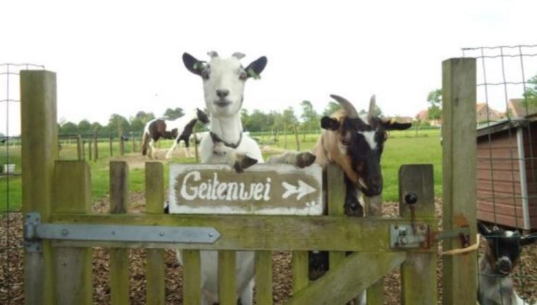 Minicamping Dorpszicht Gapinge Esterno foto