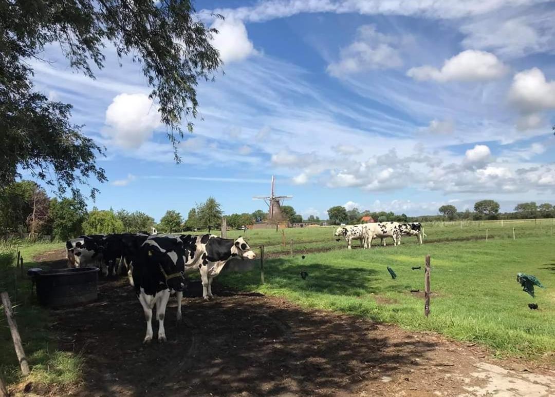 Minicamping Dorpszicht Gapinge Esterno foto