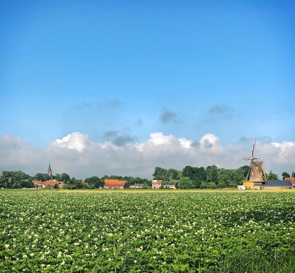 Minicamping Dorpszicht Gapinge Esterno foto